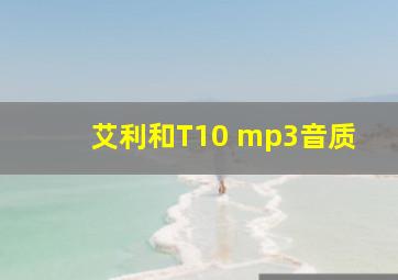 艾利和T10 mp3音质